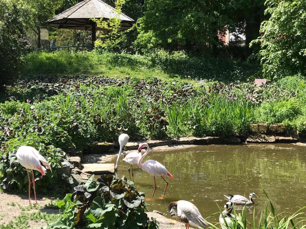 Ferienhaus Am Park Am Roehrensee Bayreuth Esterno foto